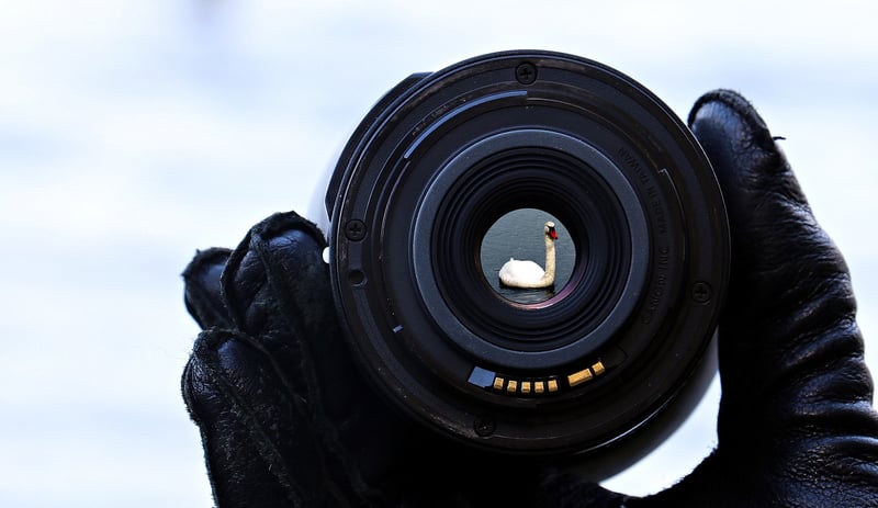 Photography focus