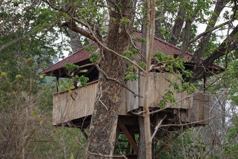 Treehouse in nature